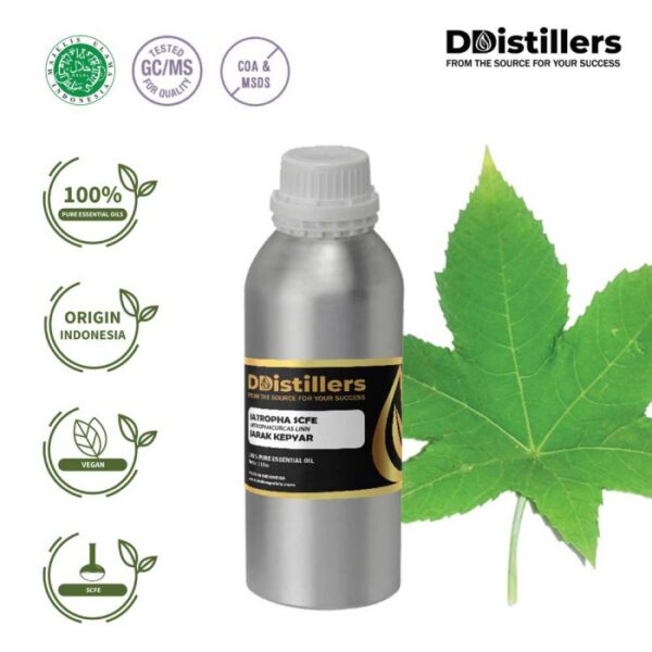 286f3d88100e481caf4ba09606788bd3.jpg Jatropha SCFE / Jarak Kepyar Essential Oil Pure 100%, 500ML-1L HDPE/SS