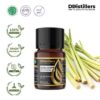 Lemongrass (West Indian) / Sereh Dapur Barat Essential Oil Pure 100%, 2-10ML GS