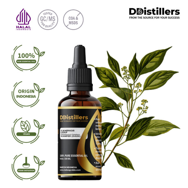 2c52408c41d146d9b3043b9c7150b323.jpg Camphor Leaf / Daun Kamper Essential Oil Pure 100%, 50-100ML GS