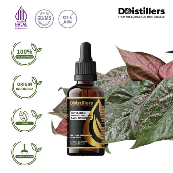 2e9f5a4e53e44c5f951344dd71a2c316.png Betel (Red) / Sirih Merah Essential Oil Pure 100%, 50-100ML GS