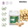 32909844ec0247df9e6724b0e9462b98.jpg Candlenut / Kemiri Hot Press Grade A Carrier Oil Pure 100%, 500ML-1L HDPE