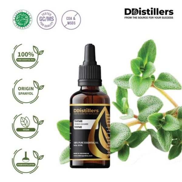 Thyme Common / Thyme / Throat Herb Essential Oil Pure 100%, 50-100ML GS