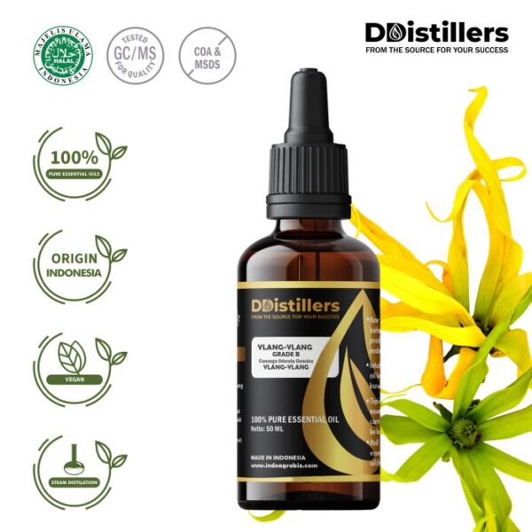 Ylang-Ylang / Kenanga Grade B Essential Oil Pure 100%, 50-100ML GS