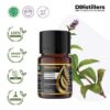 Pennyroyal / Pennyroyal Essential Oil Pure 100%, 2-10ML GS