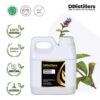 Pennyroyal / Pennyroyal Essential Oil Pure 100%, 500ML-1L HDPE/SS