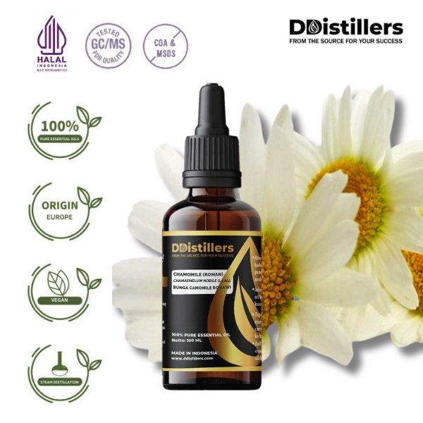 Chamomile (Roman) / Bunga Camomile Romawi Essential Oil Pure 100%, 50-100ML GS