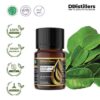 Kaffir Lime Leaf / Daun Jeruk Purut Essential Oil Pure 100%, 2-10ML GS