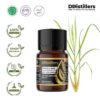 Citronella (Java) / Sereh Wangi Mahapengiri Essential Oil Pure 100%, 2-10ML GS