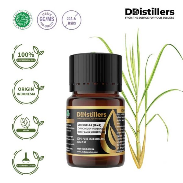 Citronella (Java) / Sereh Wangi Mahapengiri Essential Oil Pure 100%, 2-10ML GS
