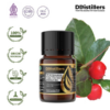 Wintergreen / Gandapura Essential Oil Pure 100%, 2-10ML GS