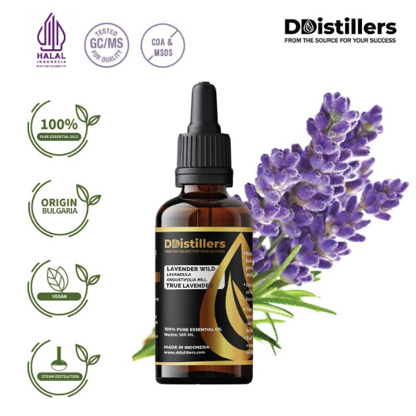 Lavender Wild / True Lavender Essential Oil Pure 100%, 50-100ML GS