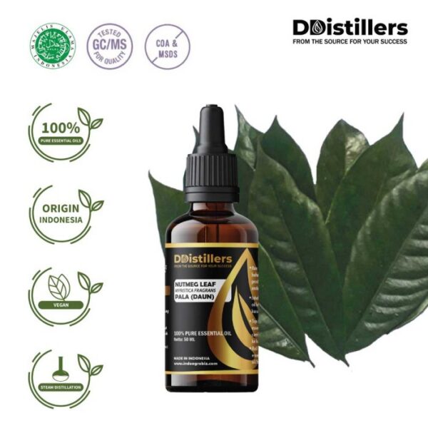 Nutmeg Leaf / Daun Pala Essential Oil Pure 100%, 50-100ML GS