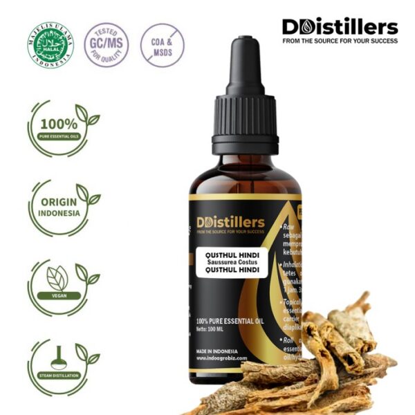 Qusthul Hindi / Qusthul Hindi Essential Oil Pure 100%, 50-100ML GS