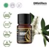Cajuput (Maluku) / Kayu Putih Ambon Essential Oil Pure 100%, 2-10ML GS