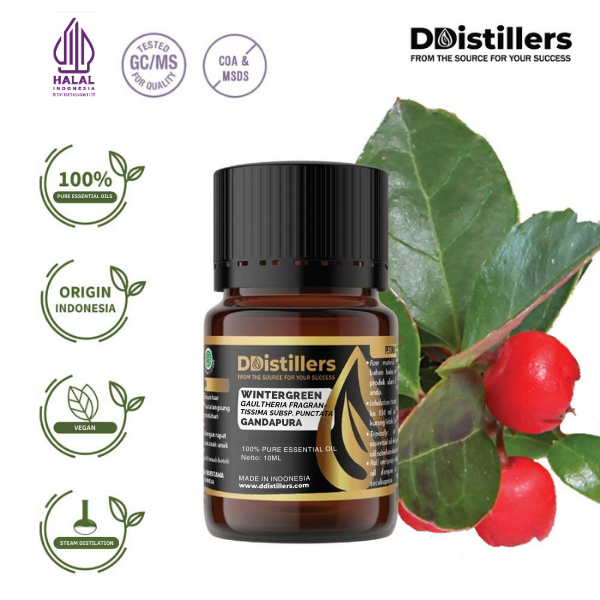 Wintergreen / Gandapura Essential Oil Pure 100%, 2-10ML GS