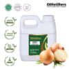 Onion / Bawang Bombay Carrier Oil Pure 100%, 500ML-1L HDPE
