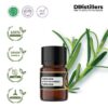 Tarragon / Tarragon Essential Oil Pure 100%, 2-10ML GS