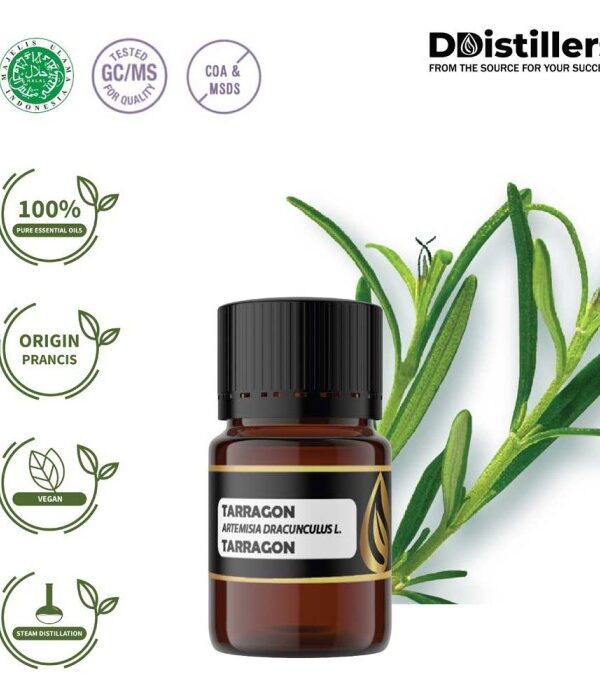 Tarragon / Tarragon Essential Oil Pure 100%, 2-10ML GS