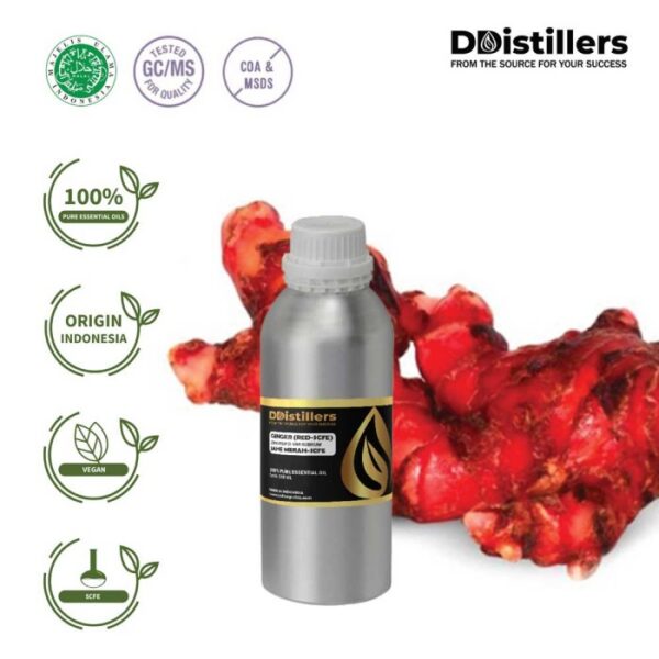 Ginger (Red SCFE) / Jahe Merah Essential Oil Pure 100%, 500ML-1L HDPE/SS