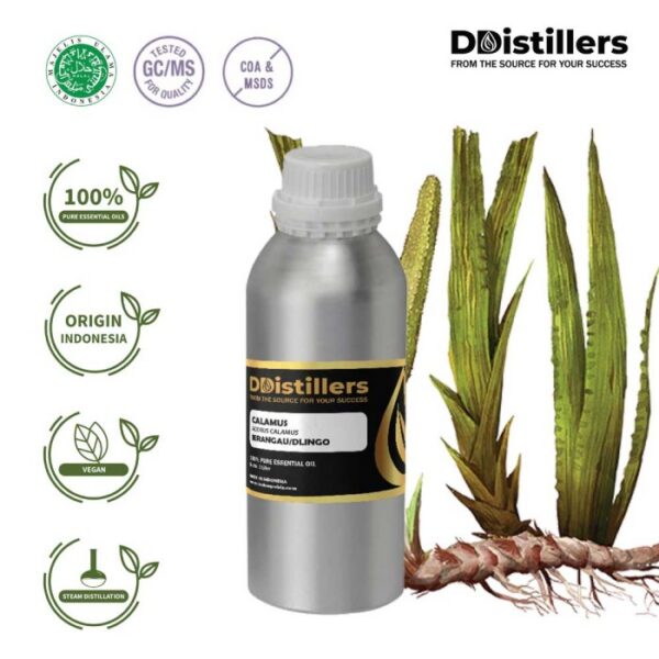 423bc88adc6d4cd5a2b1bc16ea1352ea.jpg Calamus / Sweet Flag / Jerangau / Dlingo Essential Oil Pure 100%, 500ML-1L HDPE/SS