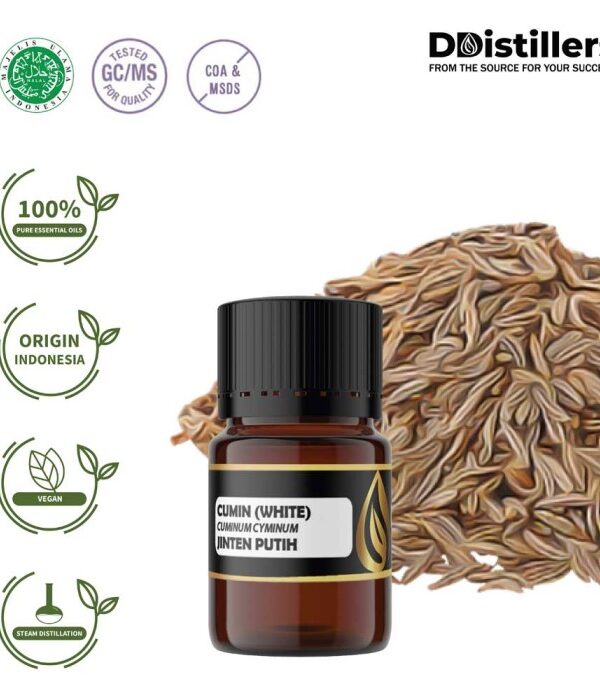 4249b06a0a224cfface24fffb2bd9175.jpg Cumin (White) Seed / Jinten Putih / Habbatussauda Essential Oil Pure 100%, 2-10ML GS