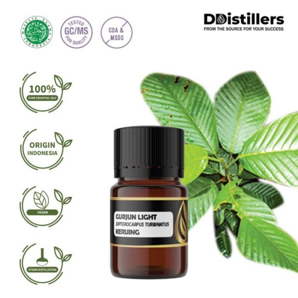 Gurjun Light / Keruing Essential Oil Pure 100%, 2-10ML GS