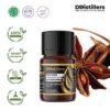 Star Anise (Fruit) / Bunga Lawang / Adas Bintang Essential Oil Pure 100%, 2-10ML GS