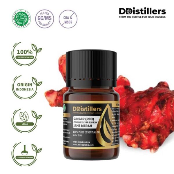 45ac330926fa4ce4aa0014367650870f-2.jpg Ginger (Red) / Jahe Merah Essential Oil Pure 100%, 2-10ML GS