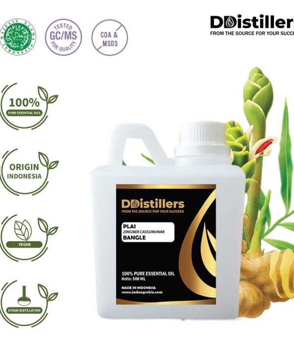 Plai / Bangle Essential Oil Pure 100%, 500ML-1L HDPE/SS