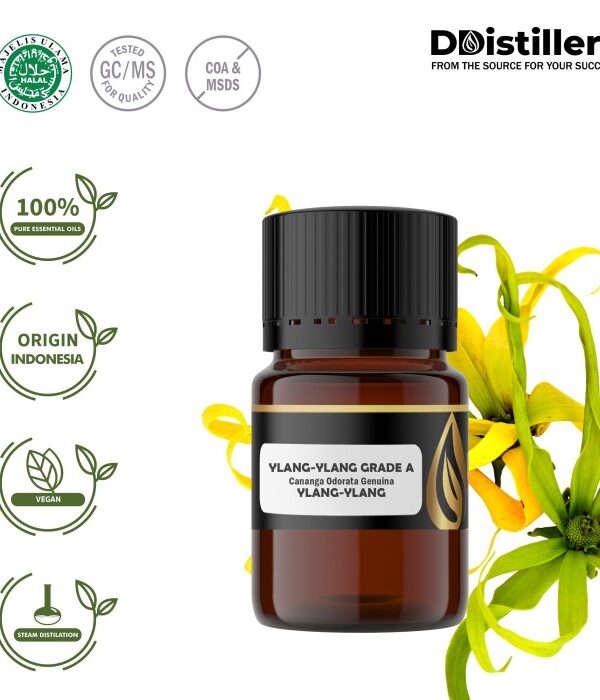 Ylang-Ylang / Kenanga Grade A Essential Oil Pure 100%, 2-10ML GS
