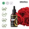 Rose Steam / Mawar Essential Oil Pure 100%, 50-250ML GS/SS