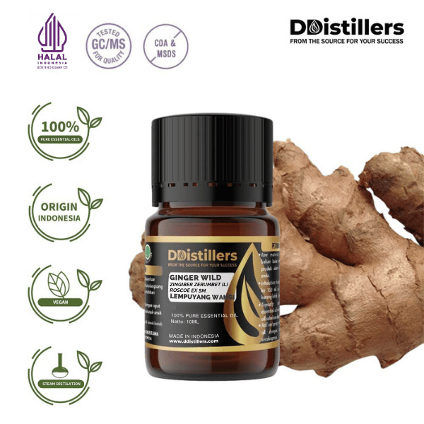 47b0dbf0417641f7bad024f220b298c7.png Ginger Wild / Lempuyang Wangi Essential Oil Pure 100%, 2-10ML GS