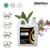 Clary Sage / Langon Kleri Essential Oil Pure 100%, 500ML-1L HDPE/SS