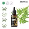 Tagetes Marigold / Kenikir Hias / Bunga Marigold Essential Oil Pure 100%, 50-100ML GS