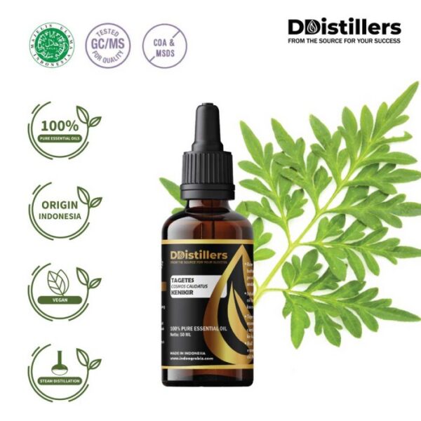Tagetes Marigold / Kenikir Hias / Bunga Marigold Essential Oil Pure 100%, 50-100ML GS