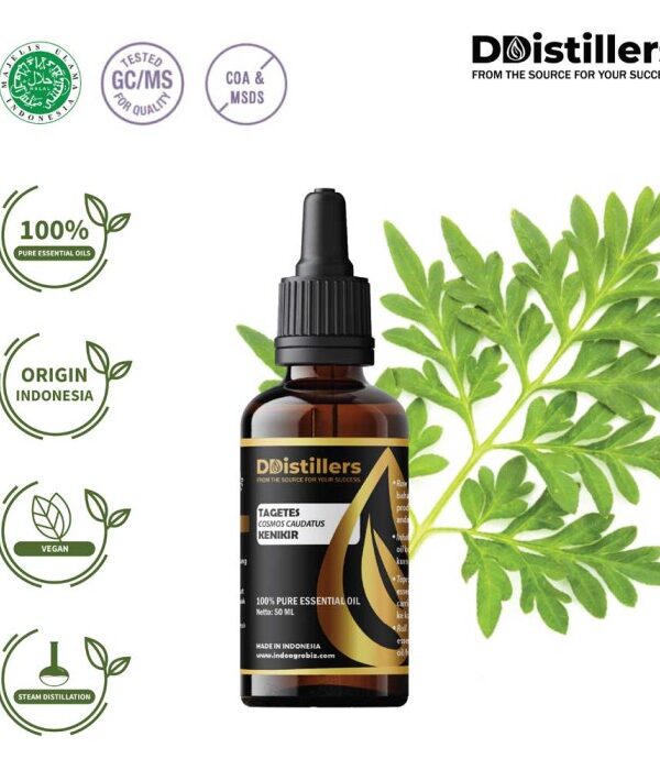 Tagetes Marigold / Kenikir Hias / Bunga Marigold Essential Oil Pure 100%, 50-100ML GS