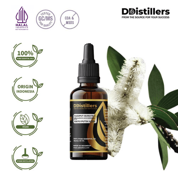 Cajuput (Sumatra) / Kayu Putih Aceh Essential Oil Pure 100%, 50-100ML GS