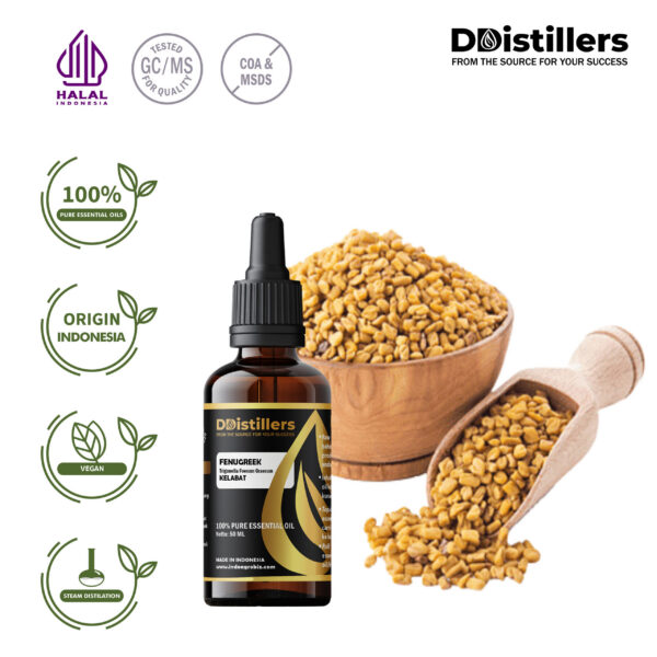 Fenugreek / Klabet Essential Oil Pure 100%, 50-100ML GS