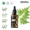 Tagetes Marigold / Kenikir Hias / Bunga Marigold Essential Oil Pure 100%, 50-100ML GS