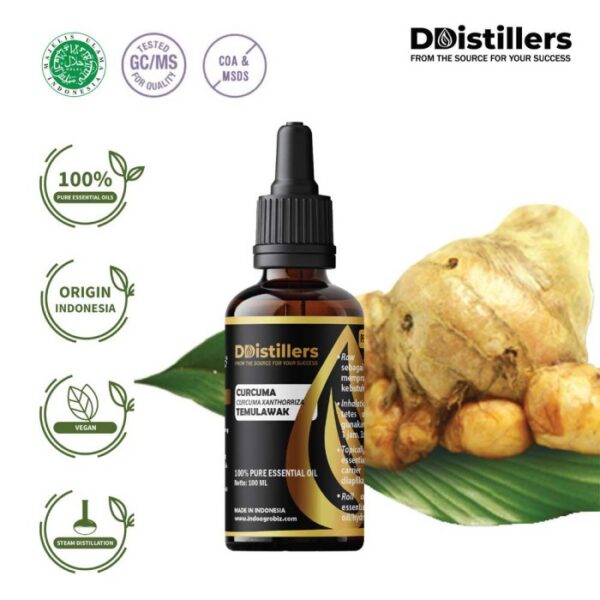 Curcuma / Temulawak Essential Oil Pure 100%, 50-100ML GS