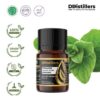 504aa133781b43ef98c2d216adf2bc98.jpg Origanum / Bunga Oregano Essential Oil Pure 100%, 2-10ML GS