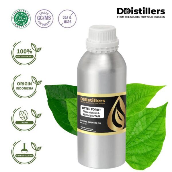 50620fbfd7934f07adc8070605ba84ce.jpg Betel (Forest) / Sirih Hutan Essential Oil Pure 100%, 500ML-1L HDPE/SS