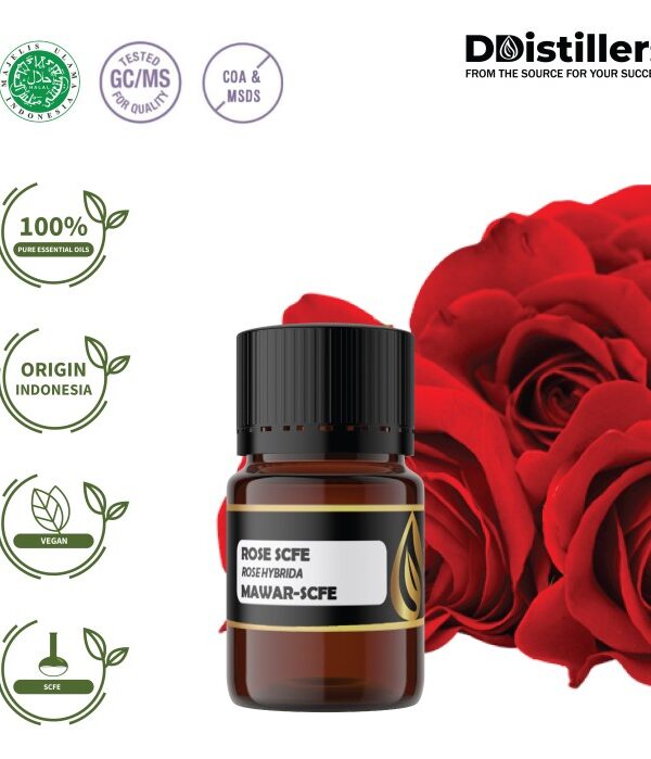 Rose (SCFE) / Mawar Essential Oil Pure 100%, 3-12ML GS
