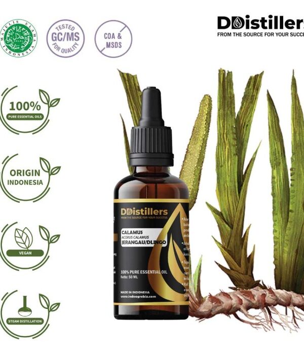 Calamus / Sweet Flag / Jerangau / Dlingo Essential Oil Pure 100%, 50-100ML GS