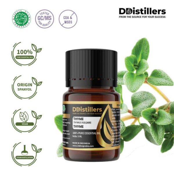 Thyme Common / Thyme / Throat Herb Essential Oil Pure 100%, 2-10ML GS