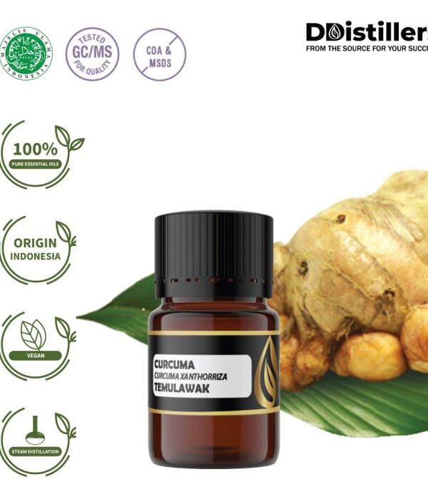 Curcuma / Temulawak Essential Oil Pure 100%, 2-10ML GS