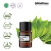 Betel (Green) / Sirih Hijau Essential Oil Pure 100%, 2-10ML GS
