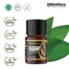 558fdd7a0eec4d2581d98673d7f6253d.jpg Turmeric Leaf / Daun Kunyit Essential Oil Pure 100%, 2-10ML GS