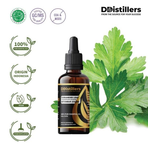 Coriander Leaf / Daun Ketumbar Essential Oil Pure 100%, 50-100ML GS