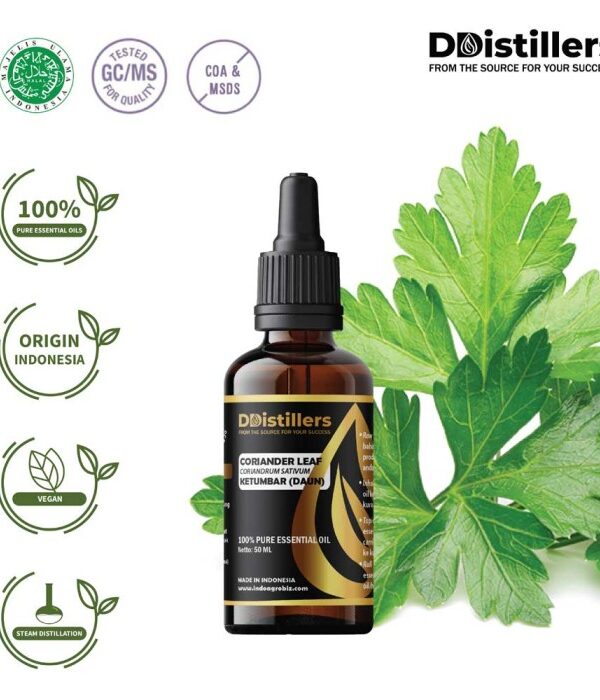 Coriander Leaf / Daun Ketumbar Essential Oil Pure 100%, 50-100ML GS